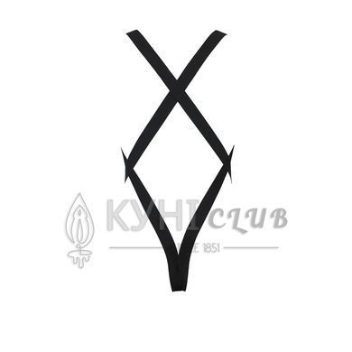 Чоловіче сітчасте боді Passion 040 LEON XXL/XXXL Black, сітка, резинки 105570 фото