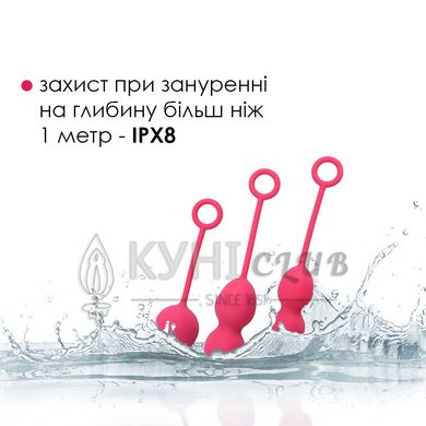 Набір вагінальних кульок Svakom Nova Plum Red 102684 фото