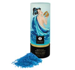 Соль для ванны Shunga Oriental Crystals Bath Salts – Ocean Breeze (500 г), соль Мертвого моря 104860 фото