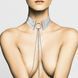 Намисто-комір Bijoux Indiscrets Desir Metallique Collar - Silver 103861 фото 2