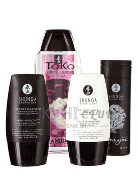 Подарунковий набір Shunga NAUGHTY Cosmetic Kit: змазка та стимулювальні засоби для нього та для неї 104862 фото