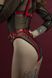 Гартери Feral Feelings - Belt Briefs, трусики, натуральна шкіра, колір червоний 108711 фото 2