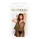 Бодистокинг с доступом Penthouse - Dark Wish Black S/L 103159 фото 3