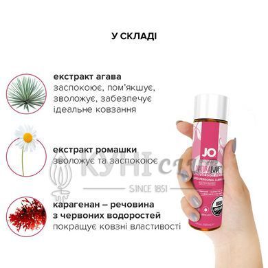 Мастило на водній основі System JO NATURALOVE Strawberry (120мл) з екстрактом ромашки та листя агави 101003 фото