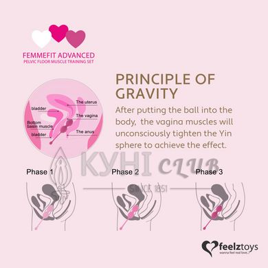 Набір вагінальних кульок для просунутих FeelzToys - FemmeFit Advanced Pelvic Muscle Training Set 102984 фото