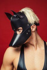 Маска собаки для BDSM: D&A 107548 фото