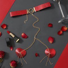 Пестис-сердечка з ланцюжками та чокером JSY Nipple Sticker RT236114 Red 107297 фото