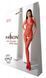 Бодістокінг з плетінням на животику Passion BS100 One Size, red, декоративний шов, з доступом 106959 фото 6
