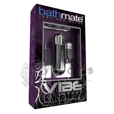 Вібропуля Bathmate Vibe Bullet Chrome, глибока потужна вібрація 109442 фото