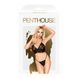Комплект бралет та стрінги Penthouse - Double Spice Black M/L 103162 фото 3