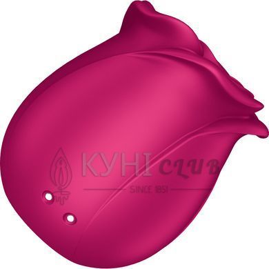 Вакуумний кліторальний стимулятор Satisfyer Pro 2 Classic Blossom, технологія Liquid Air 106743 фото