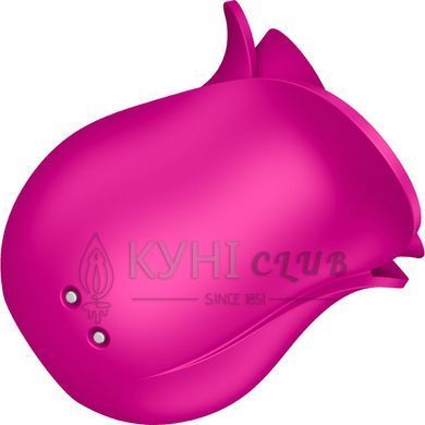 Вакуумний кліторальний стимулятор Satisfyer Pro 2 Modern Blossom, технологія Liquid Air 106744 фото