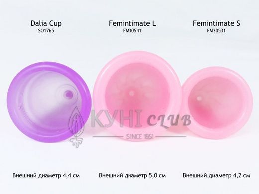 Менструальна чаша Femintimate Eve Cup розмір L із переносним душем, діаметр 3,8см 101345 фото