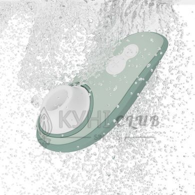 Вакуумный клиторальный стимулятор Womanizer Liberty 2 Sage, 8 режимов, магнитная крышечка 109573 фото
