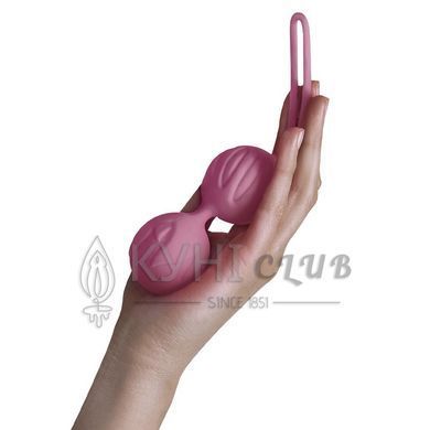 Вагинальные шарики Adrien Lastic Geisha Lastic Balls BIG Pink (L), диаметр 4см, вес 90гр 101375 фото