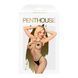 Бодістокінг у велику сітку Penthouse - Body Search Black S/L 103070 фото 3