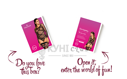 Бодистокинг Obsessive Bodystocking G320 S/M/L, чулки, боди, декор в виде линий 105225 фото