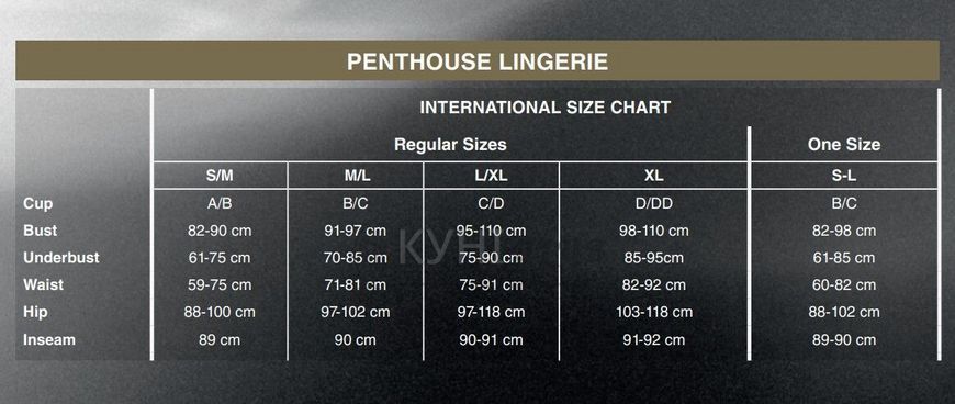 Боди Penthouse - Devils advocate Black XL 104392 фото