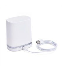 Дорожній футляр та кабель для заряджання Chorus by We-Vibe &mdash; Charger & Travel Case w/USB Cable 104902 фото