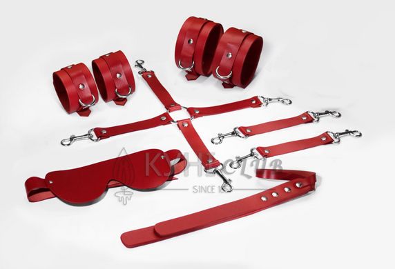 Набор Feral Feelings BDSM Kit 5 Red, наручники, поножи, крестовина, маска, паддл 106249 фото