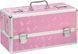 Большой кейс для хранения секс-игрушек BMS Factory Large Lokable Vibrator Case Pink, кодовый замок 106798 фото 1