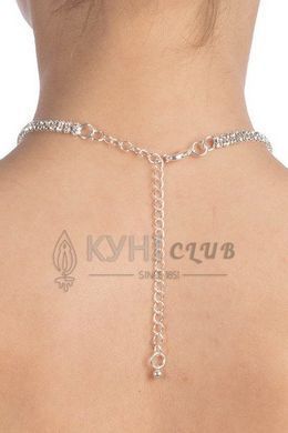 Кольє зі стразами Bijoux Pour Toi - Audrey Silver 103796 фото