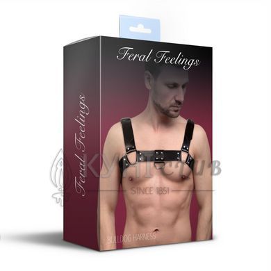 Чоловіча портупея на груди з натуральної шкіри Feral Feelings - Bulldog Harness Black 107428 фото