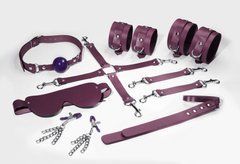 Набір Feral Feelings BDSM Kit 7 Burgundy, наручники, поножі, конектор, маска, падл, кляп, затискачі 106254 фото