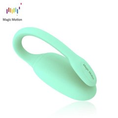 Смарт-тренажер Кегеля Magic Motion Kegel Rejuve, бюджетный вариант, для тренировок и удовольствия 108583 фото