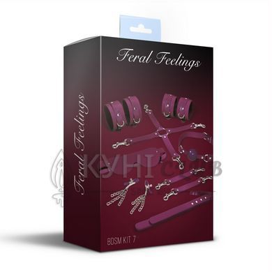 Набір Feral Feelings BDSM Kit 7 Burgundy, наручники, поножі, конектор, маска, падл, кляп, затискачі 106254 фото
