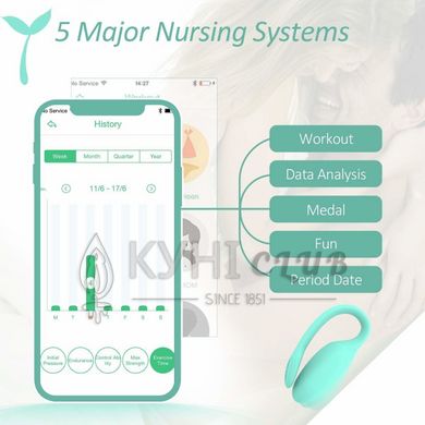 Смарт-тренажер Кегеля Magic Motion Kegel Rejuve, бюджетний варіант, для тренувань та задоволення 108583 фото