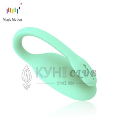 Смарт-тренажер Кегеля Magic Motion Kegel Rejuve, бюджетний варіант, для тренувань та задоволення 108583 фото