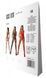 Бодистокинг с множеством бретелей Passion BS095 One Size, white, имитация пояса и чулок, с доступом 106945 фото 7
