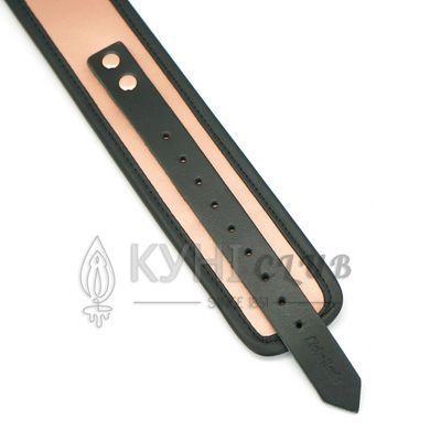 Широкий нашийник з повідцем Liebe Seele Rose Gold Memory Collar with Leash, натуральна шкіра 107497 фото
