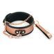 Широкий нашийник з повідцем Liebe Seele Rose Gold Memory Collar with Leash, натуральна шкіра 107497 фото 1