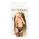 Колготки з імітацією панчох на підв'язках Penthouse - Special Extra Black S/L 103247 фото 3