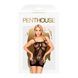 Міні-сукня сітка Penthouse - Above & Beyond Black S-L 103046 фото 3