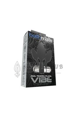 Набор анальных вибропробок Bathmate Anal Training Plugs VIBE, диаметр 2,5см - 3,1см - 3,8см 108883 фото