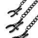 Зажимы для сосков и клитора Bedroom Fantasies: Nipple & Clitoral Clamps, черные 106830 фото 2