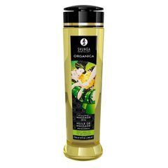 Органічна масажна олія Shunga ORGANICA &ndash; Exotic green tea (240 мл) з вітаміном Е 101985 фото