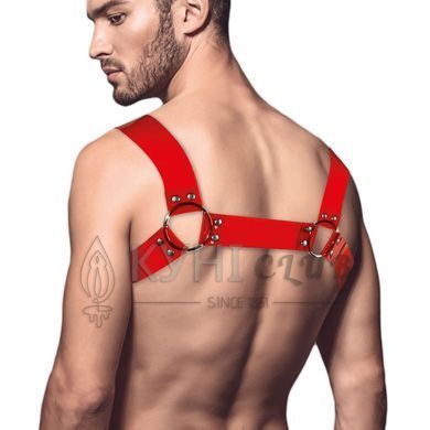 Чоловіча портупея на груди Feral Feelings - Bulldog Harness Red Trasparent 107327 фото