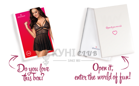 Эротический кружевной комплект с сеточкой Obsessive 838-BAB-1 babydoll & thong black S/M, черный, пе 105165 фото