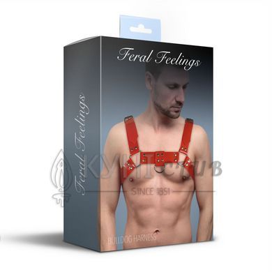 Чоловіча портупея на груди Feral Feelings - Bulldog Harness Red 107328 фото