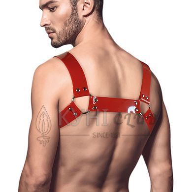 Чоловіча портупея на груди Feral Feelings - Bulldog Harness Red 107328 фото