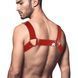 Чоловіча портупея на груди Feral Feelings - Bulldog Harness Red 107328 фото 2