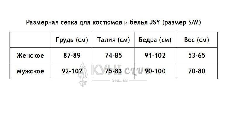 Еротичний костюм покоївки "Старанна Беккі" One Size 109295 фото