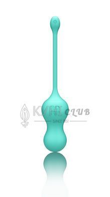 Віброяйце для точки G з пультом керування Romp Cello Light Teal, водонепроникне 106761 фото