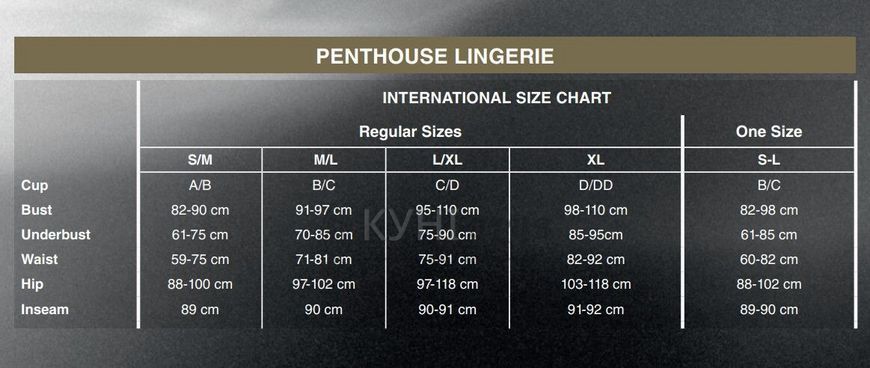 Бодістокінг з високим мереживним коміром Penthouse - First Lady Black S/L 103190 фото