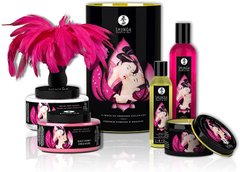 Подарунковий набір Shunga Romance Cosmetic Kit 102379 фото