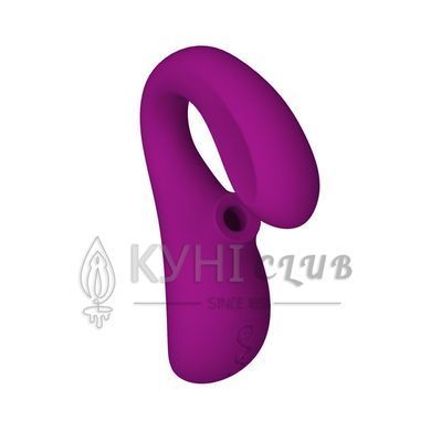 Кліторально-вагінальний звуковий стимулятор LELO Enigma Cruise Deep Rose 106039 фото